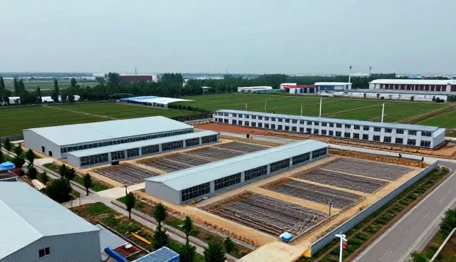 钢结构安装服务如何提升土建施工效率